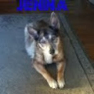 Meet your Posher, Ashleigh